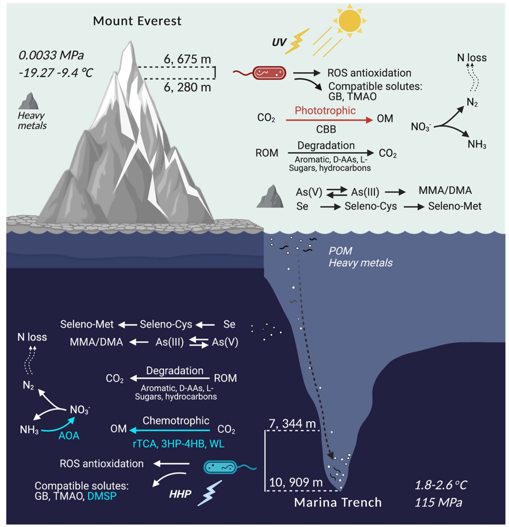 Mariana Trench Diagram   马沟珠峰2 